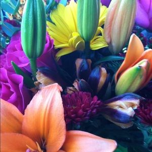 Meet your Posher, Kate